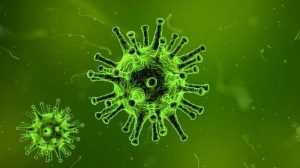 Read more about the article lemon balm and olive leaf kill viruses
