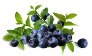 Read more about the article Bilberry nutrients maintains heart, digestive and eye health.